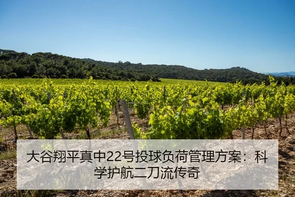 大谷翔平真中22号投球负荷管理方案：科学护航二刀流传奇